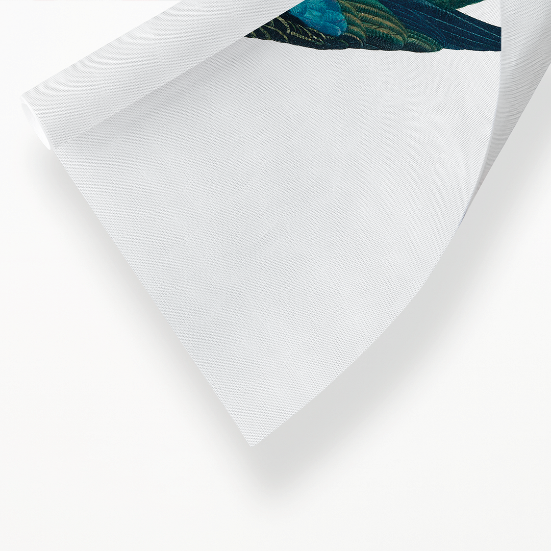 The Eastern Rosella, Platycercus eximius I - Art Print