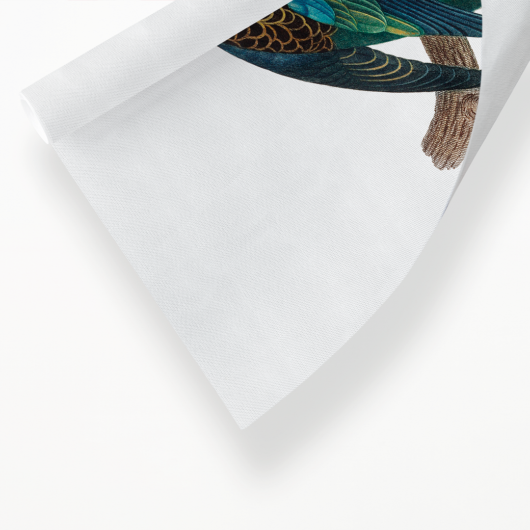 The Eastern Rosella, Platycercus eximius II - Art Print