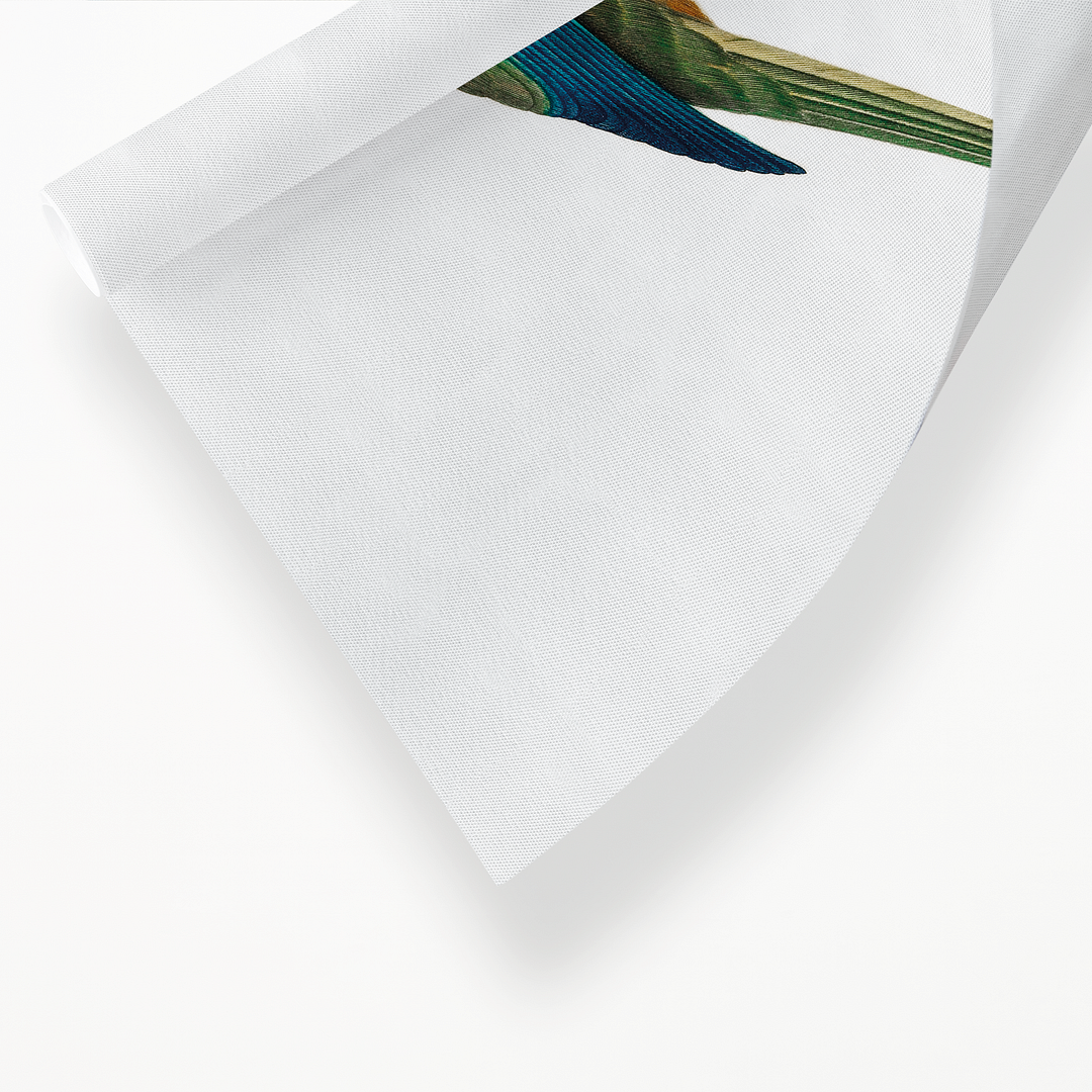 Turcosine Ground Parakeet - Art Print
