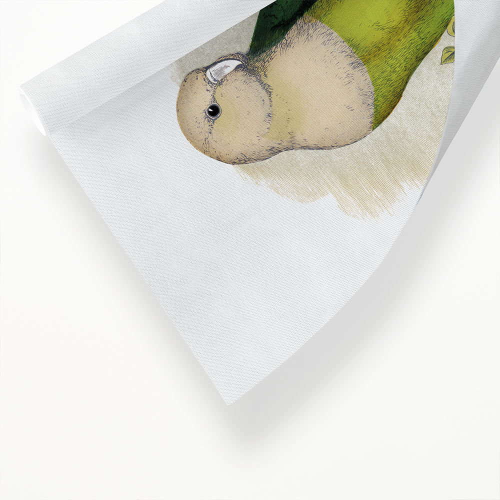 Grey-Headed or Madagascar Love-Bird - Art Print