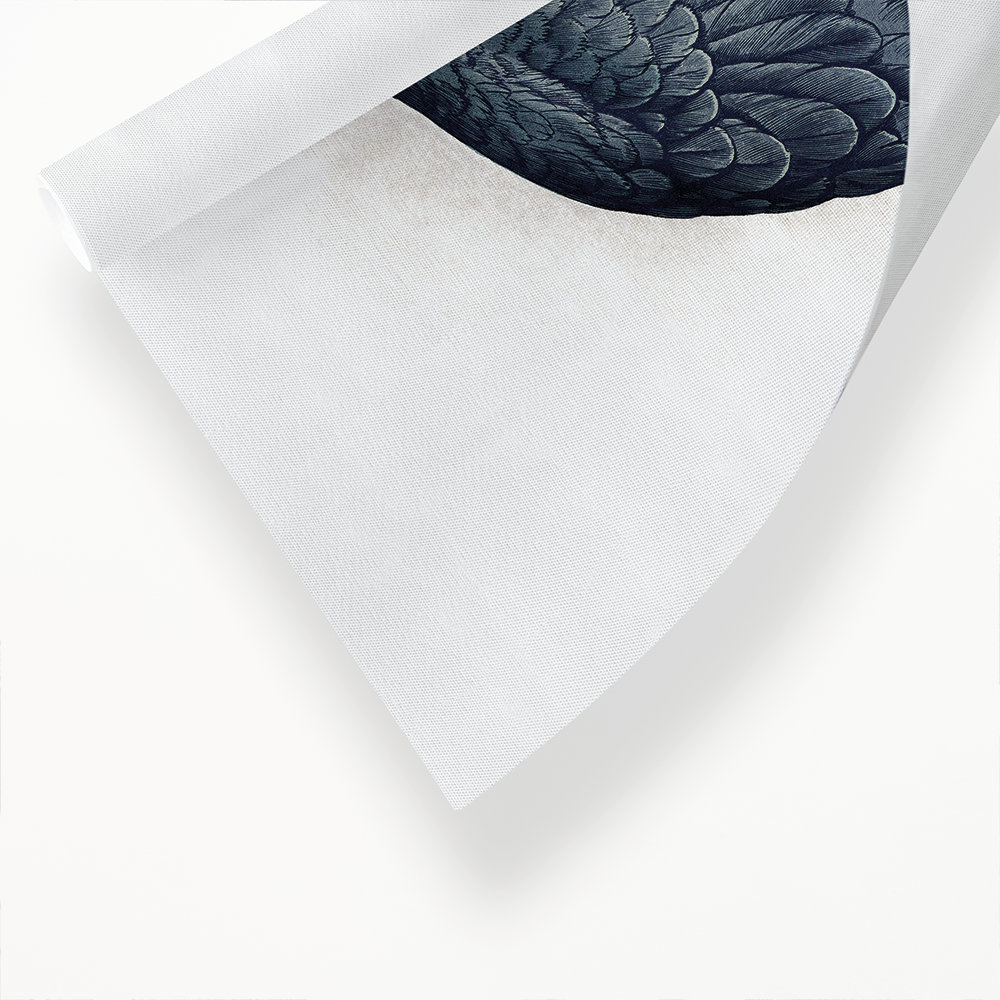 Grey Parrot - Art Print