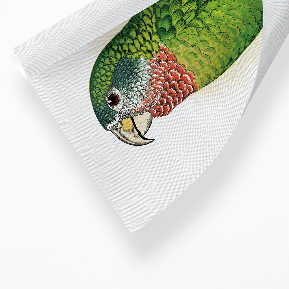 Jamaica Parrot - Art Print