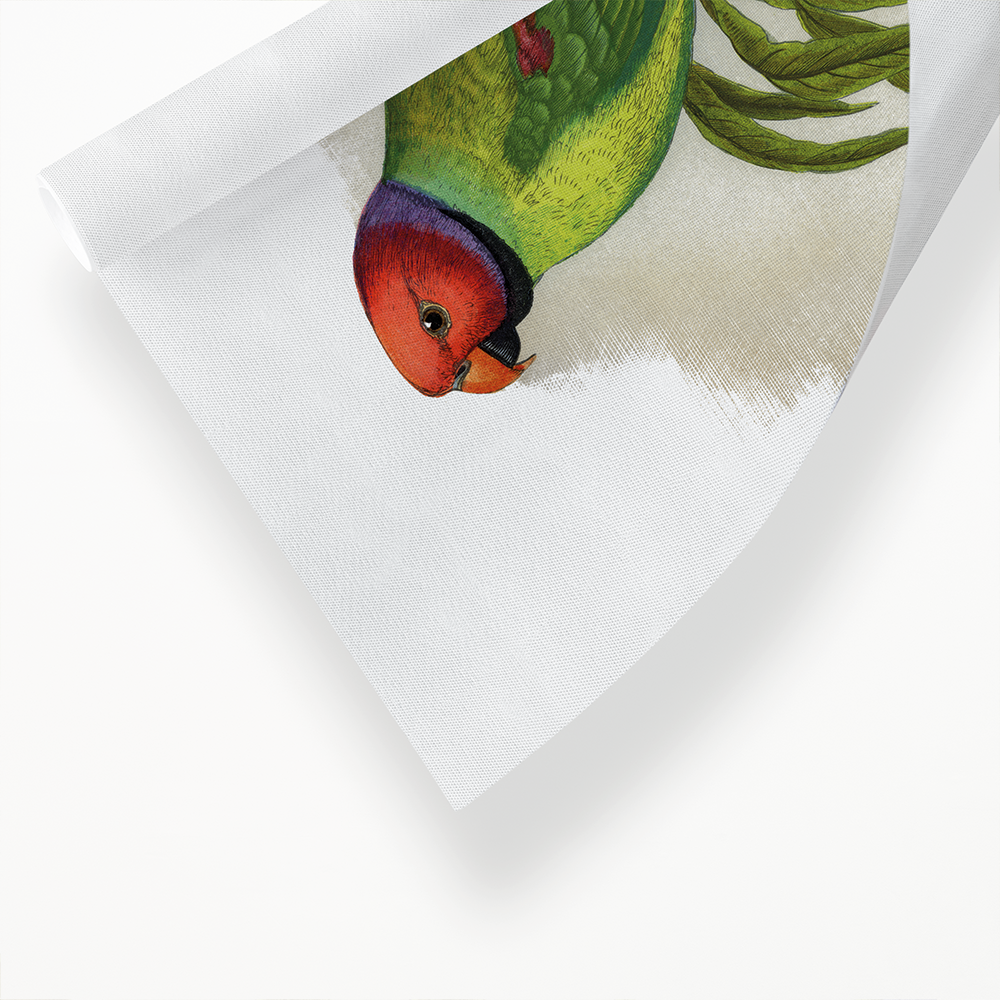 Blossom-Headed Parrakeet - Art Print