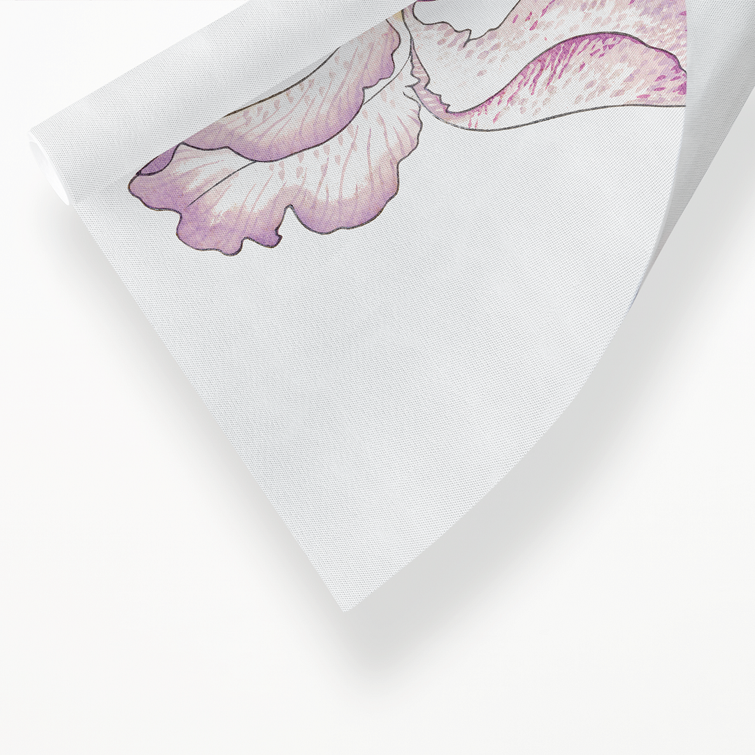 Iris flower By Tanigami Kônan Art-Print