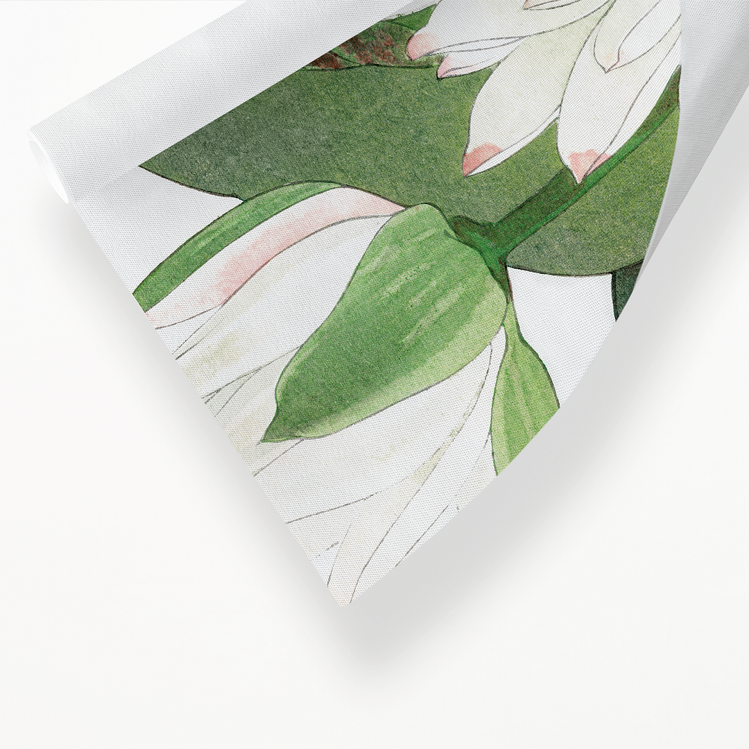 Witte lotus By Tanigami Kônan Art-Print