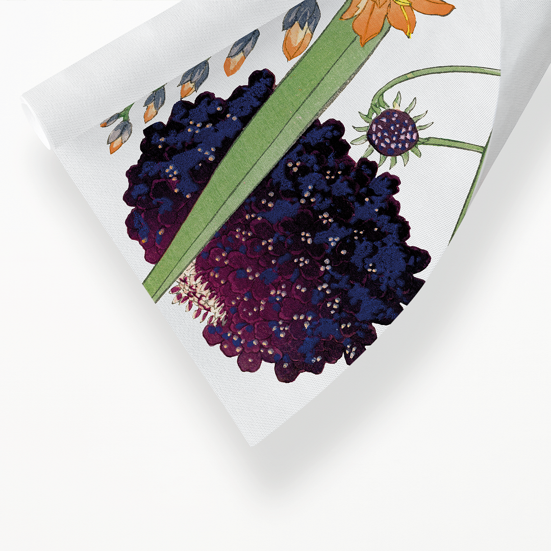 Scabiosa & Montbretia By Tanigami Kônan Art-Print