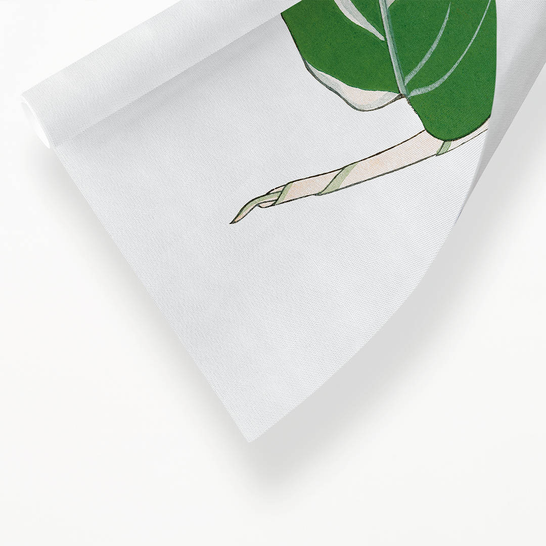Maranta & Manettia By Tanigami Kônan Art-Print