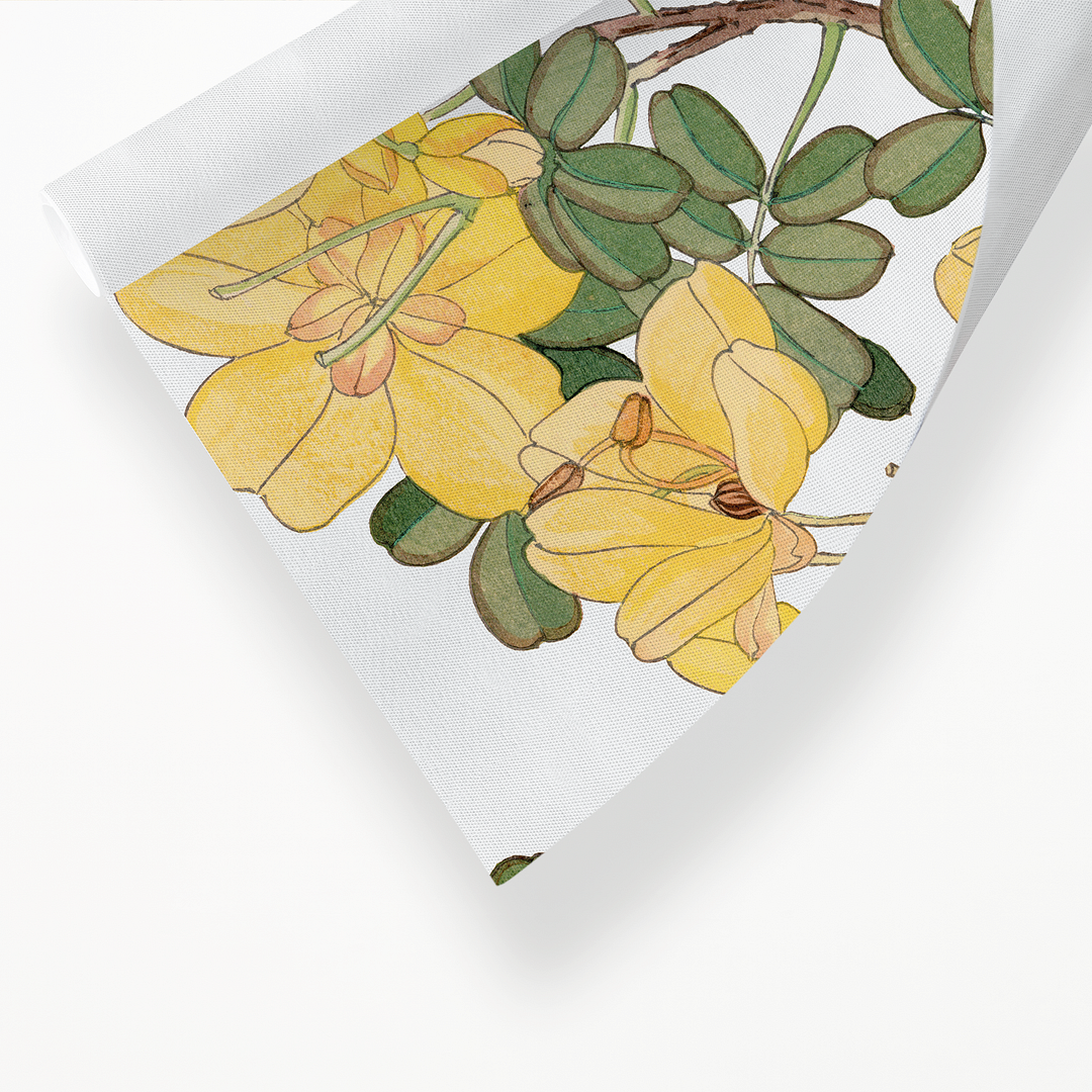 Allamanda Flower By Tanigami Kônan Art-Print