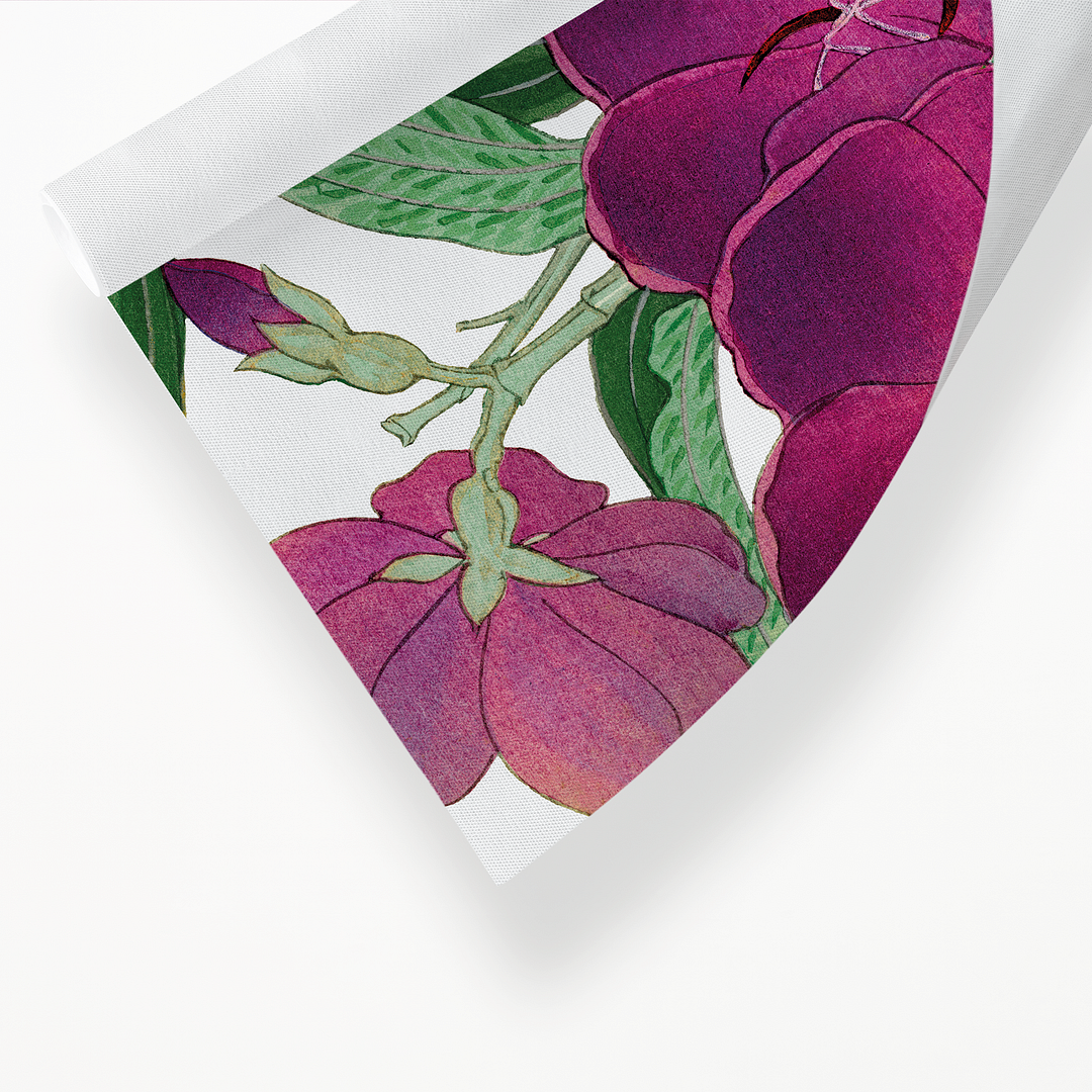Melastoma By Tanigami Kônan Art-Print