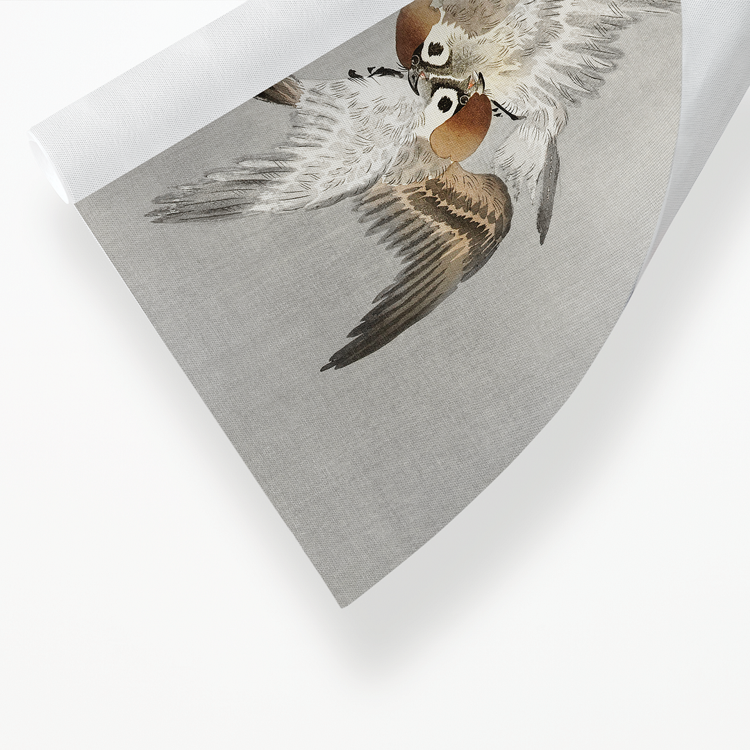 Sparrows and snowy plum tree By Ohara Koson - Art Print