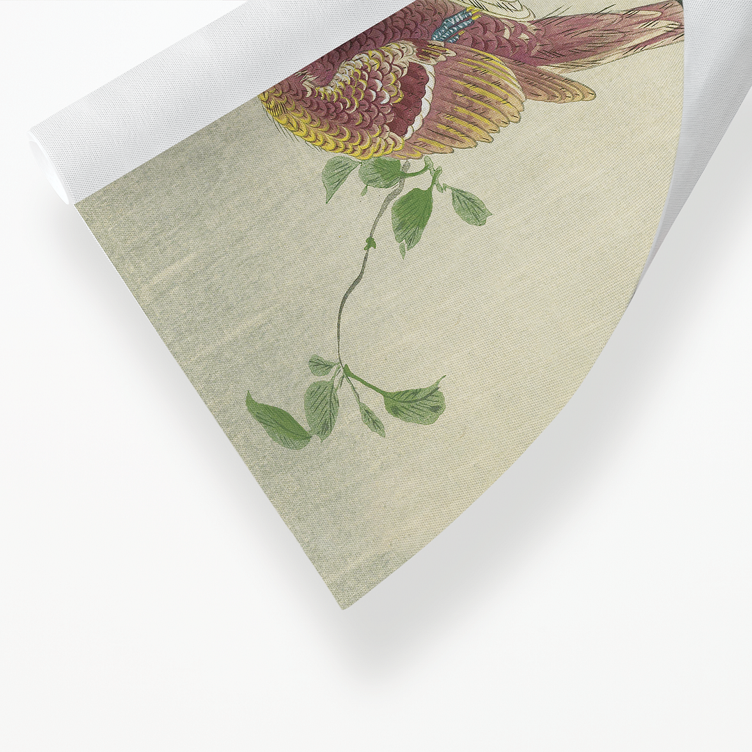 Copper Pheasant By Ohara Koson - Art Print