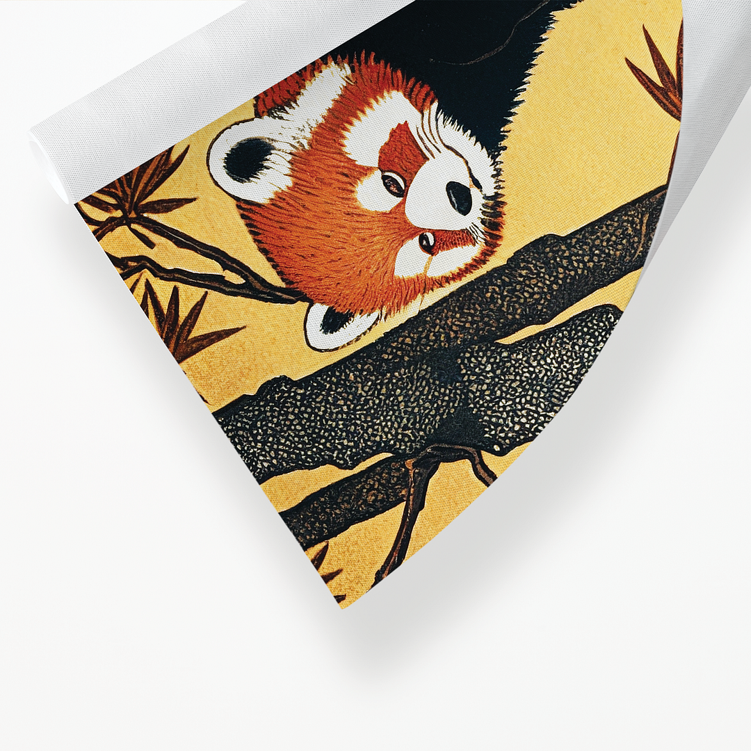 Red panda on a maple tree - Art Print