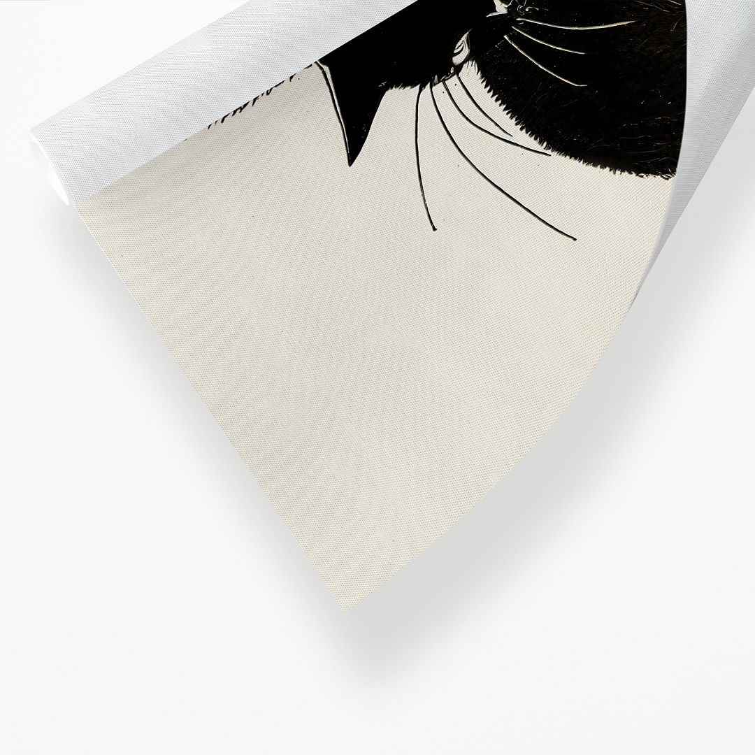 Black cat - Art Print