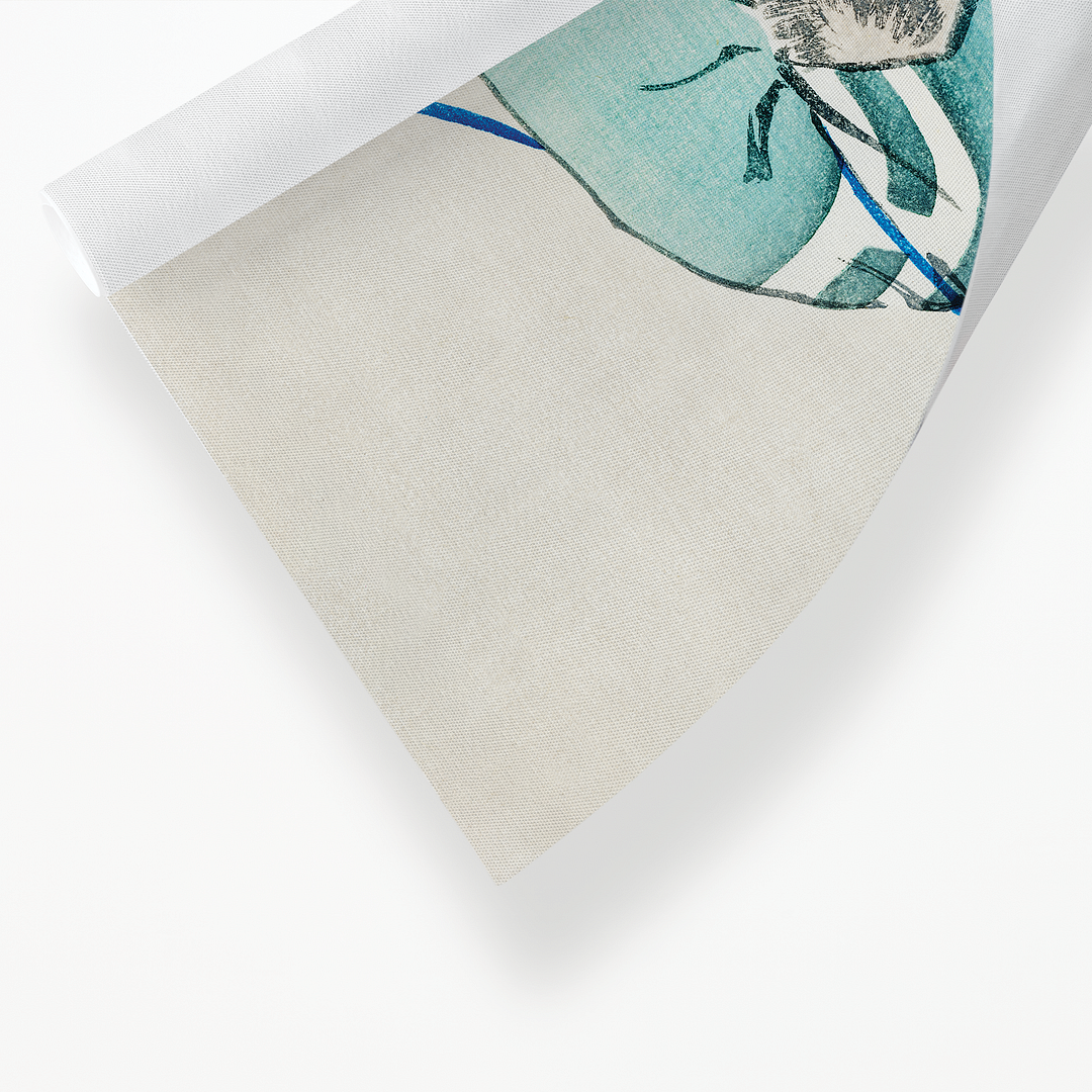 Monkey by Kōno Bairei - Art Print