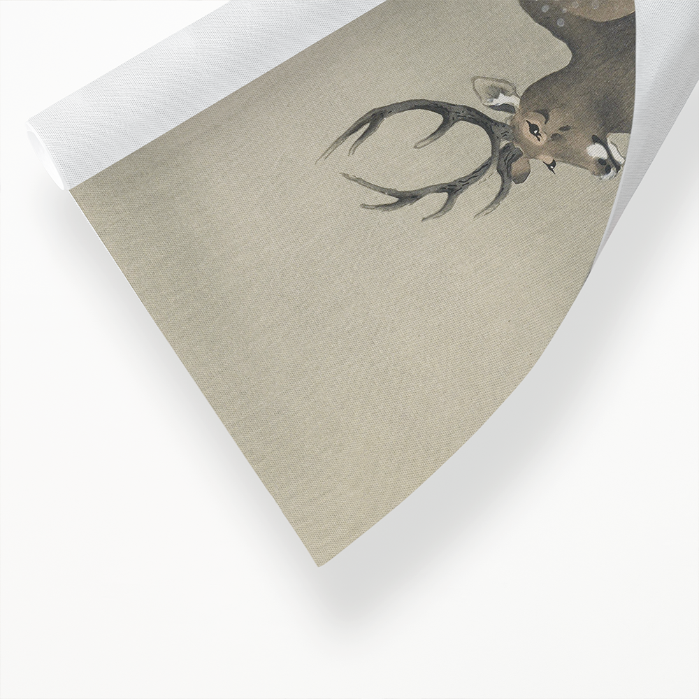 Deer by Ohara Koson - Art Print