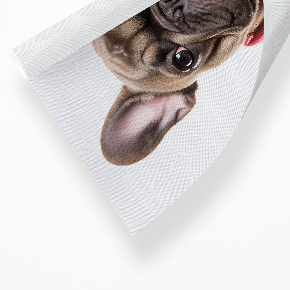 Frenchy bringing roses - Art Print
