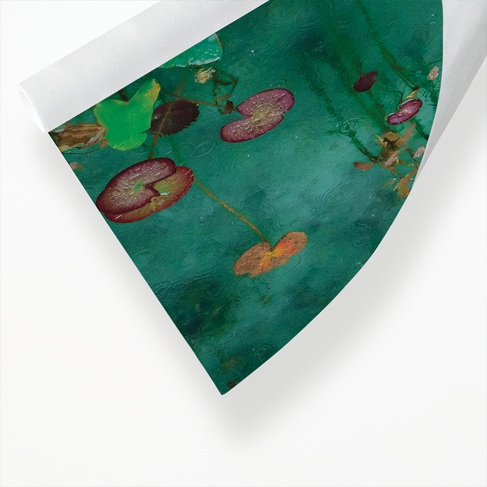 Koi Fish Serenity in the Water - Art Print
