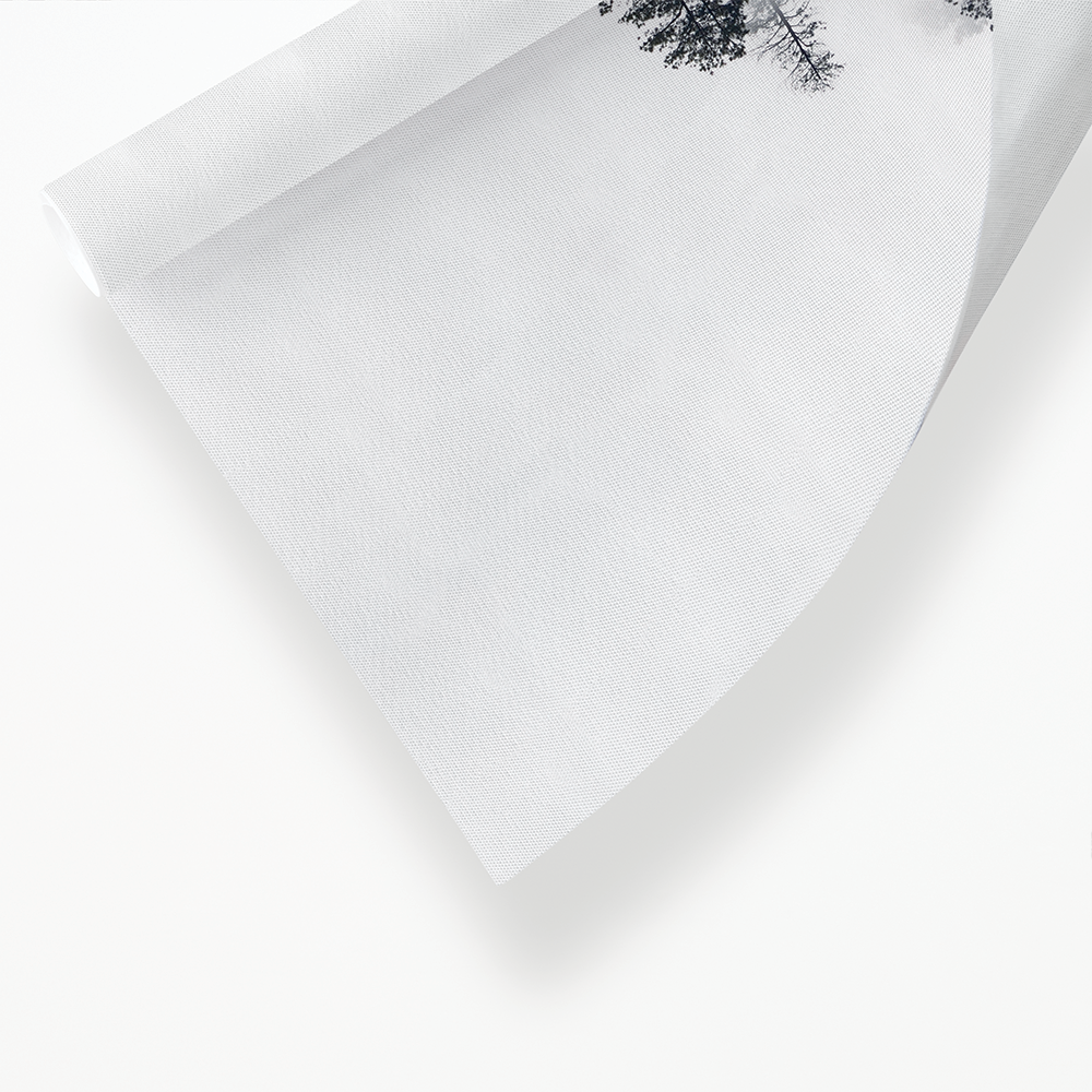 Trees Amidst the Mysterious Mist - Art Print