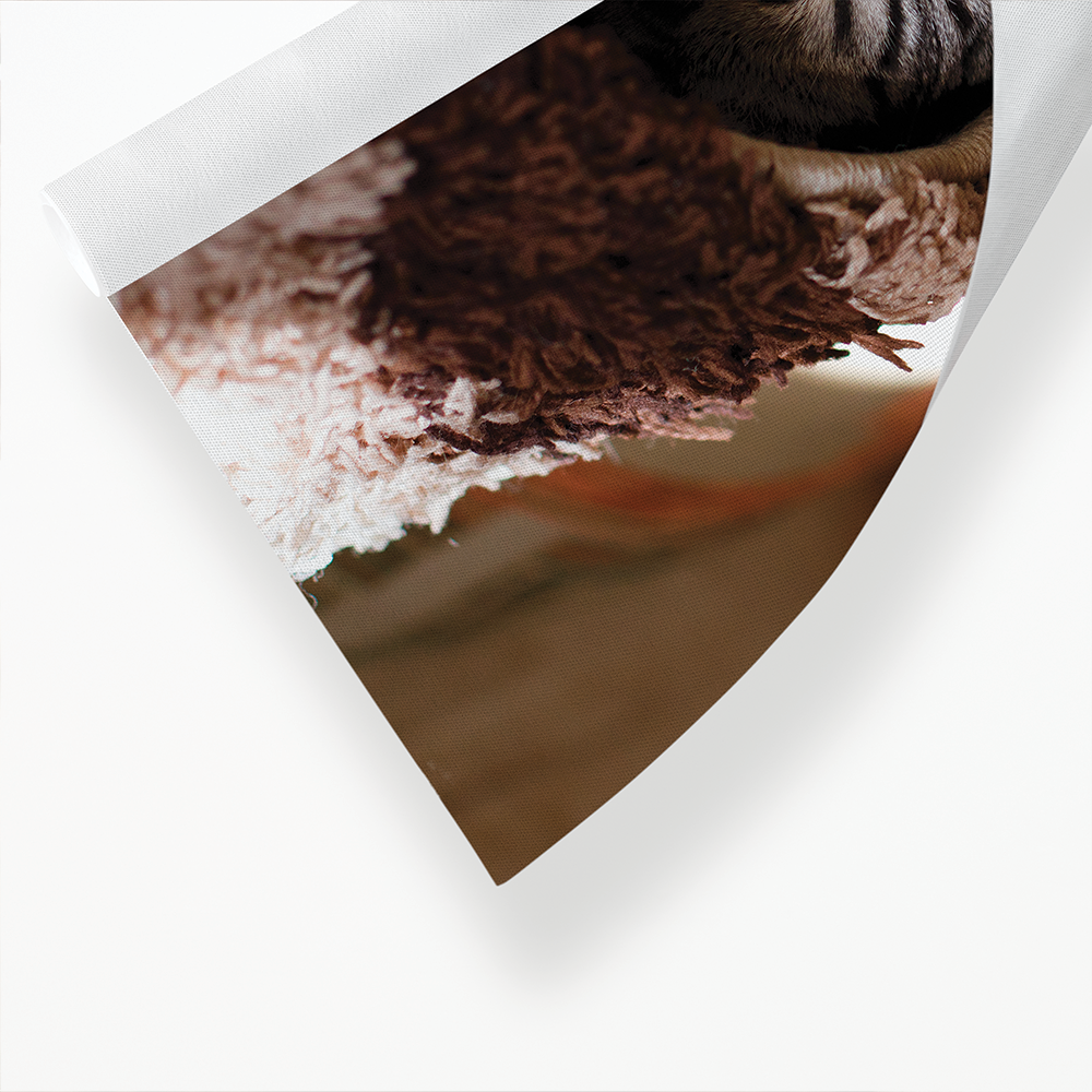 Cute cat hiding under blanket - Art Print