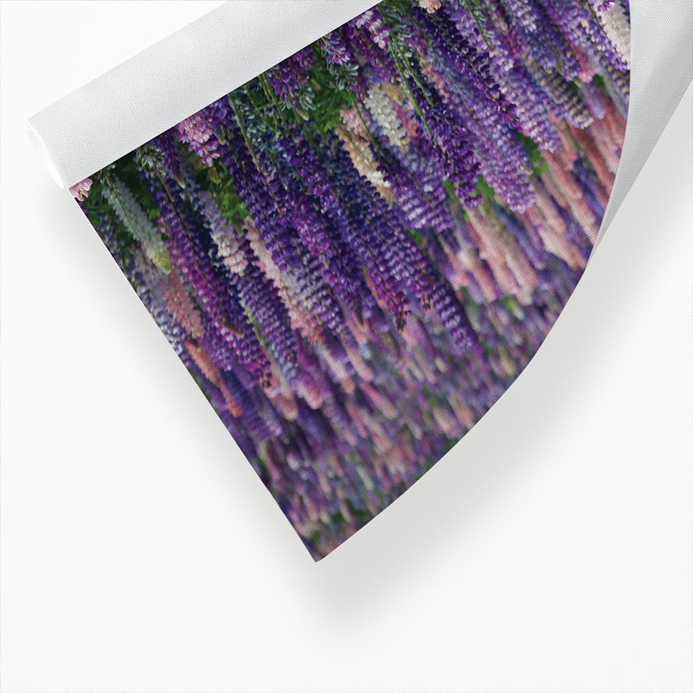 A field with lupine flowers - Art Print