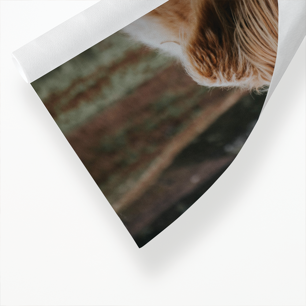 Calf - Art Print