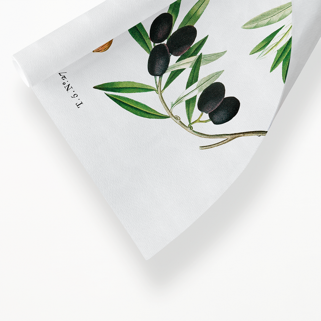 Olive II By Pierre-Joseph Redouté - Art Print