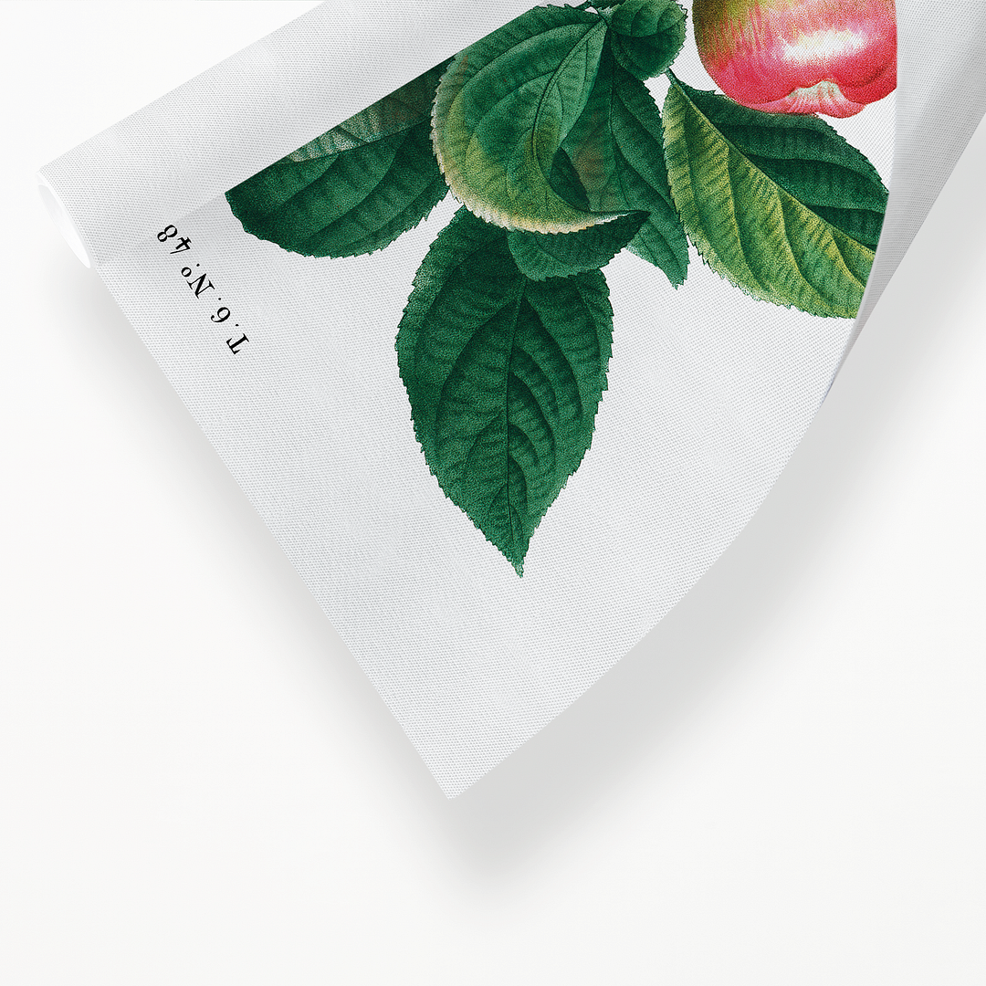 Apple By Pierre-Joseph Redouté - Art Print
