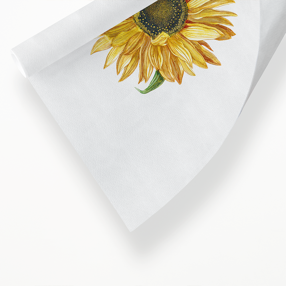 A sunflower by Johan Teyler - Art Print