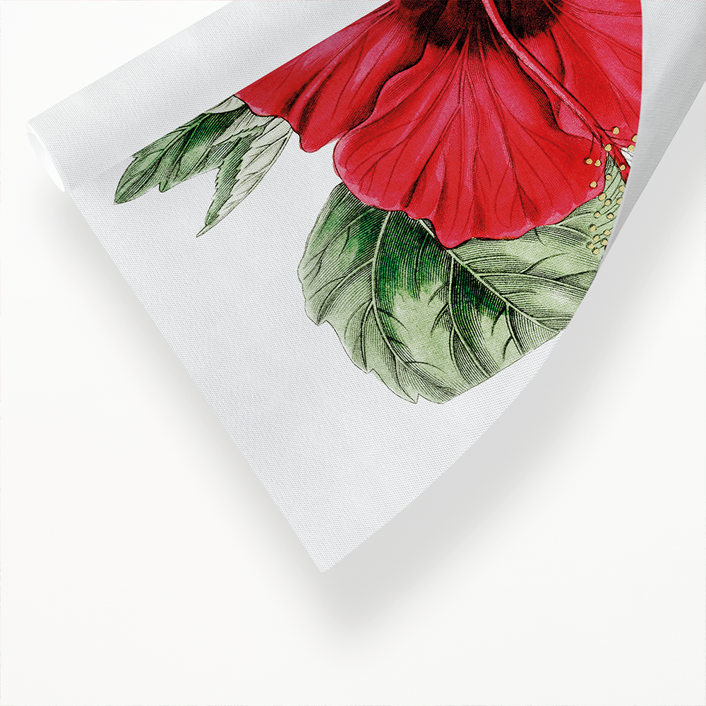 Single-flowered Chinese rose mallow - Art Print