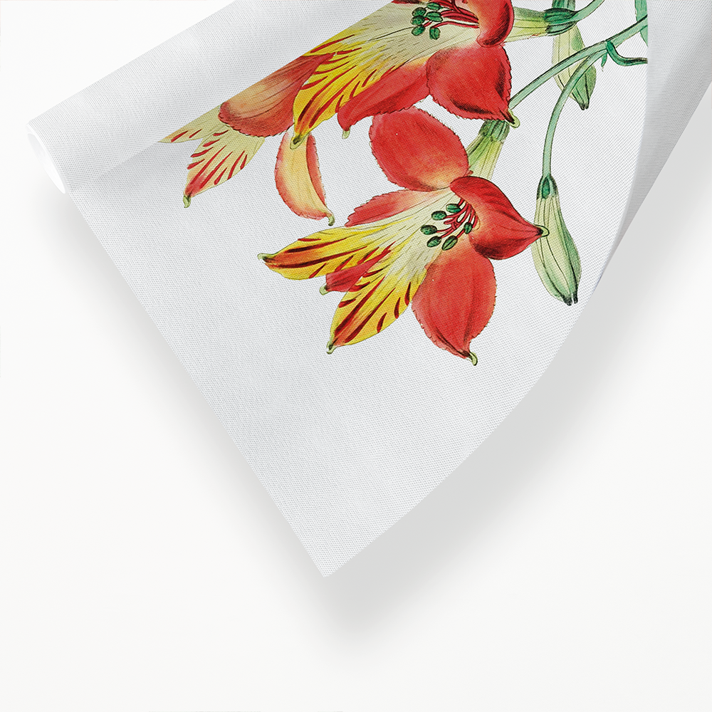 red speckled-flowered Alstromeria - Art Print