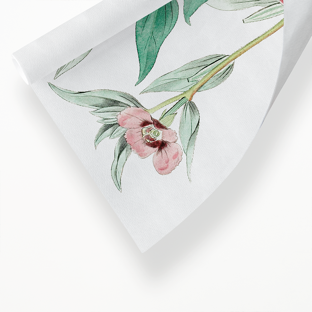 Long Branched Enothera - Art Print