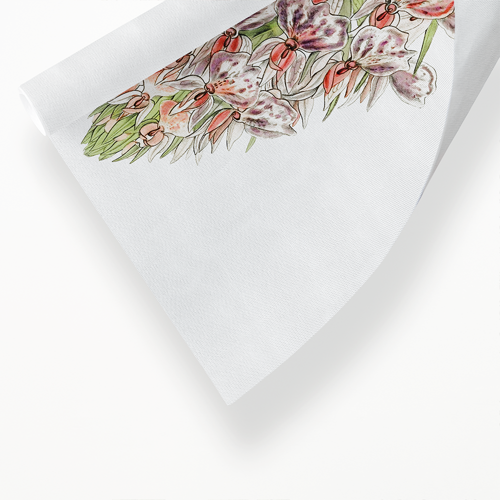 Leafy spiked orchis - Art Print