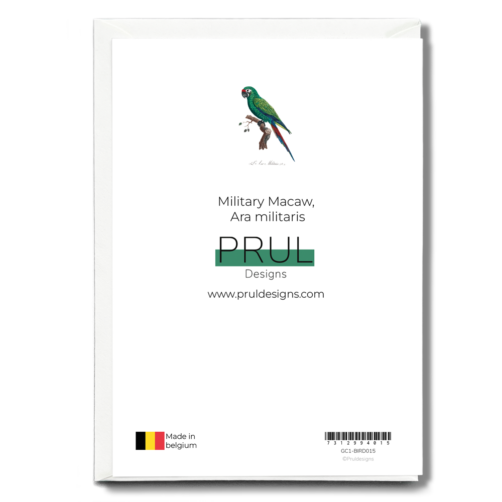 Military Macaw, Ara militaris - Wenskaart