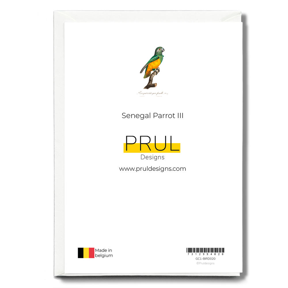 Senegal Parrot III - Wenskaart