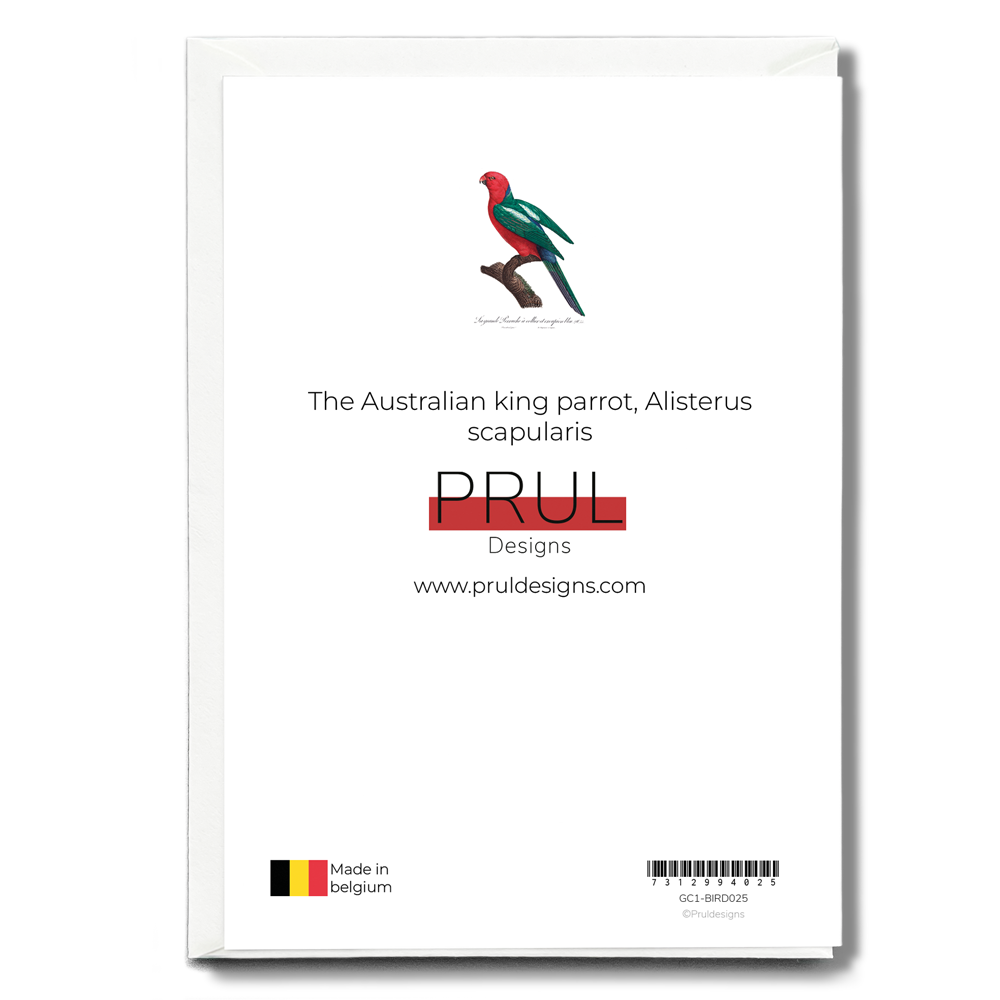 The Australian king parrot, Alisterus scapularis - Wenskaart