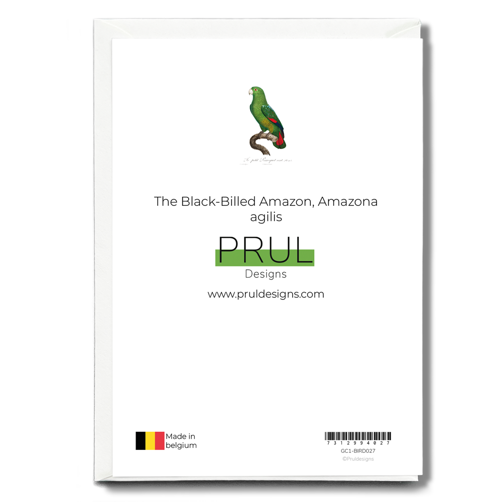 The Black-Billed Amazon, Amazona agilis - Wenskaart