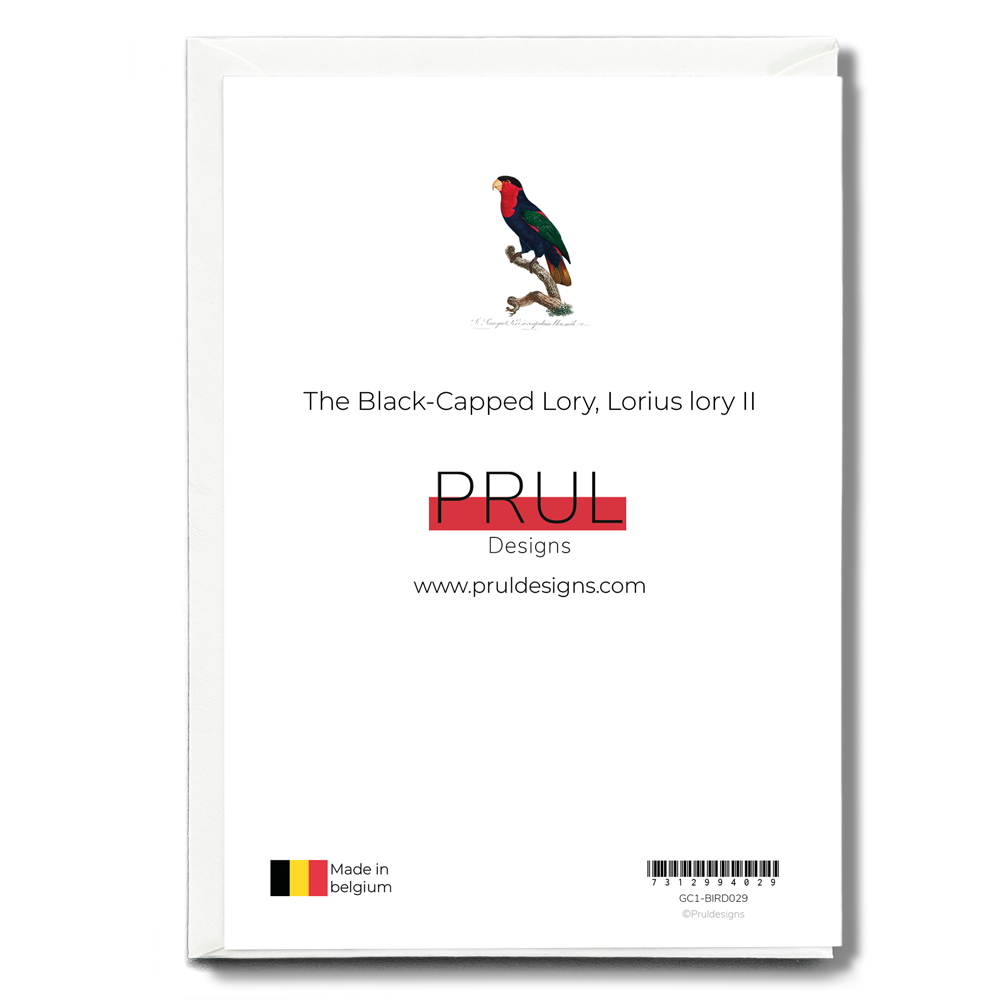 The Black-Capped Lory, Lorius lory II - Wenskaart