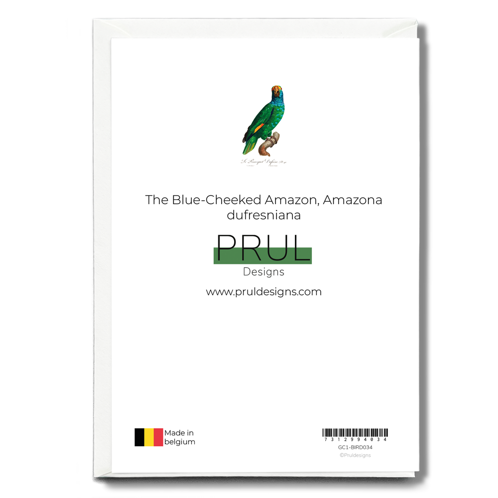 The Blue-Cheeked Amazon, Amazona dufresniana - Wenskaart