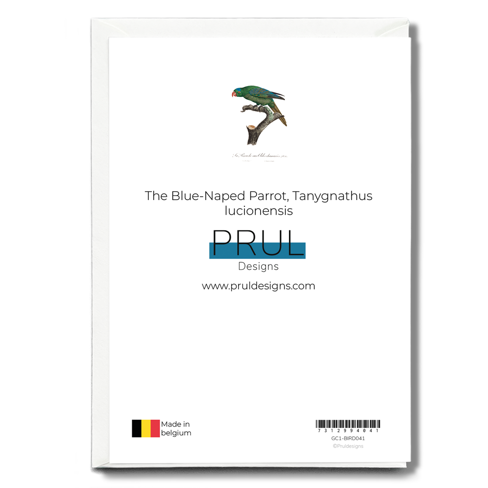 The Blue-Naped Parrot, Tanygnathus lucionensis - Wenskaart