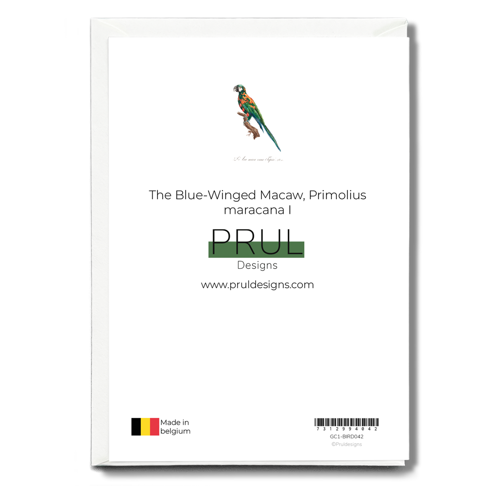 The Blue-Winged Macaw, Primolius maracana I - Wenskaart