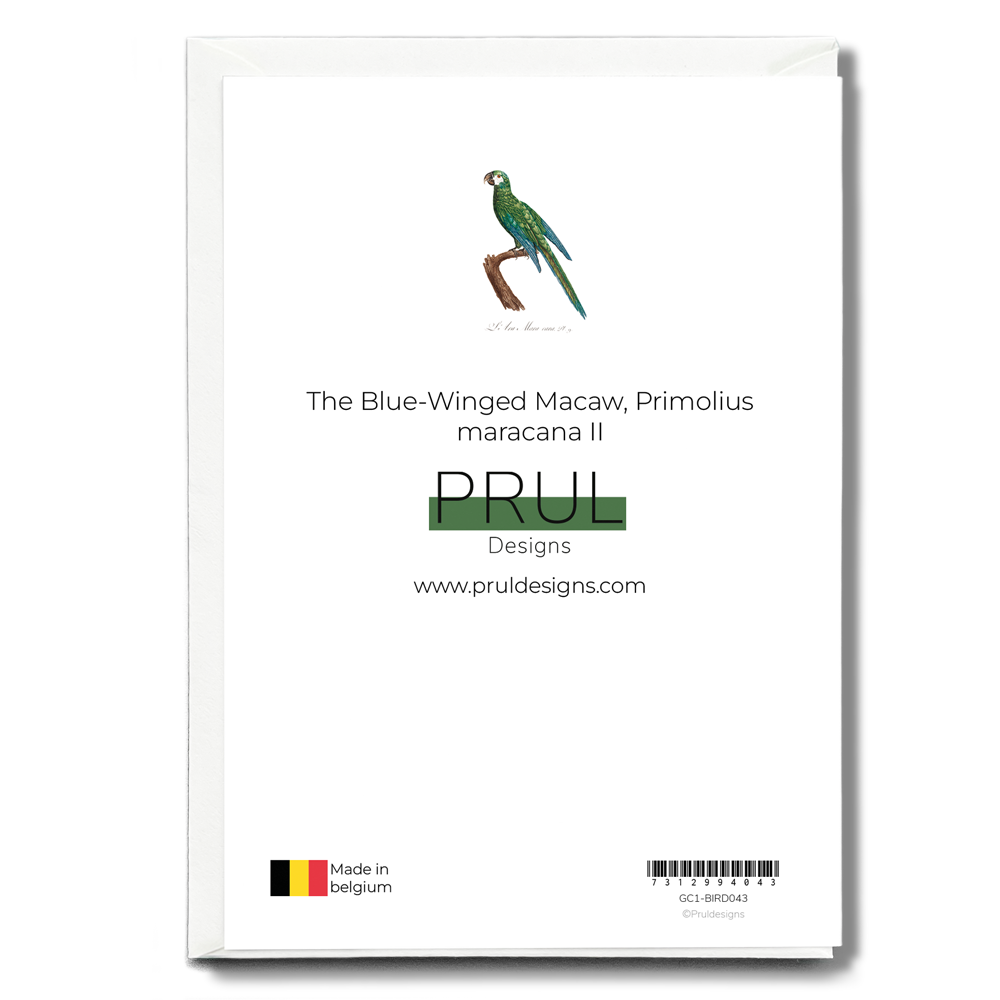 The Blue-Winged Macaw, Primolius maracana II - Wenskaart