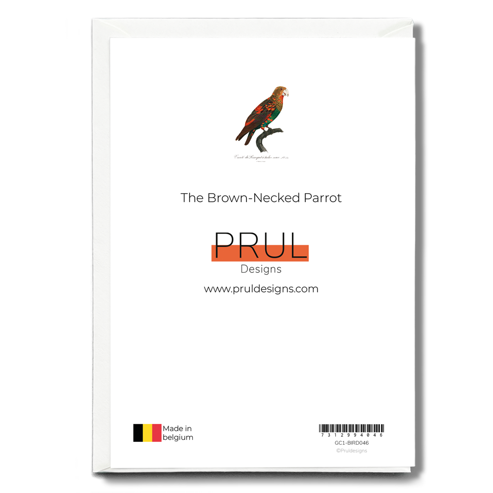 The Brown-Necked Parrot - Wenskaart