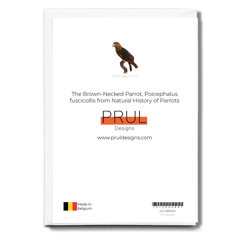 The Brown-Necked Parrot, Poicephalus fuscicollis from Natural History of Parrots - Wenskaart