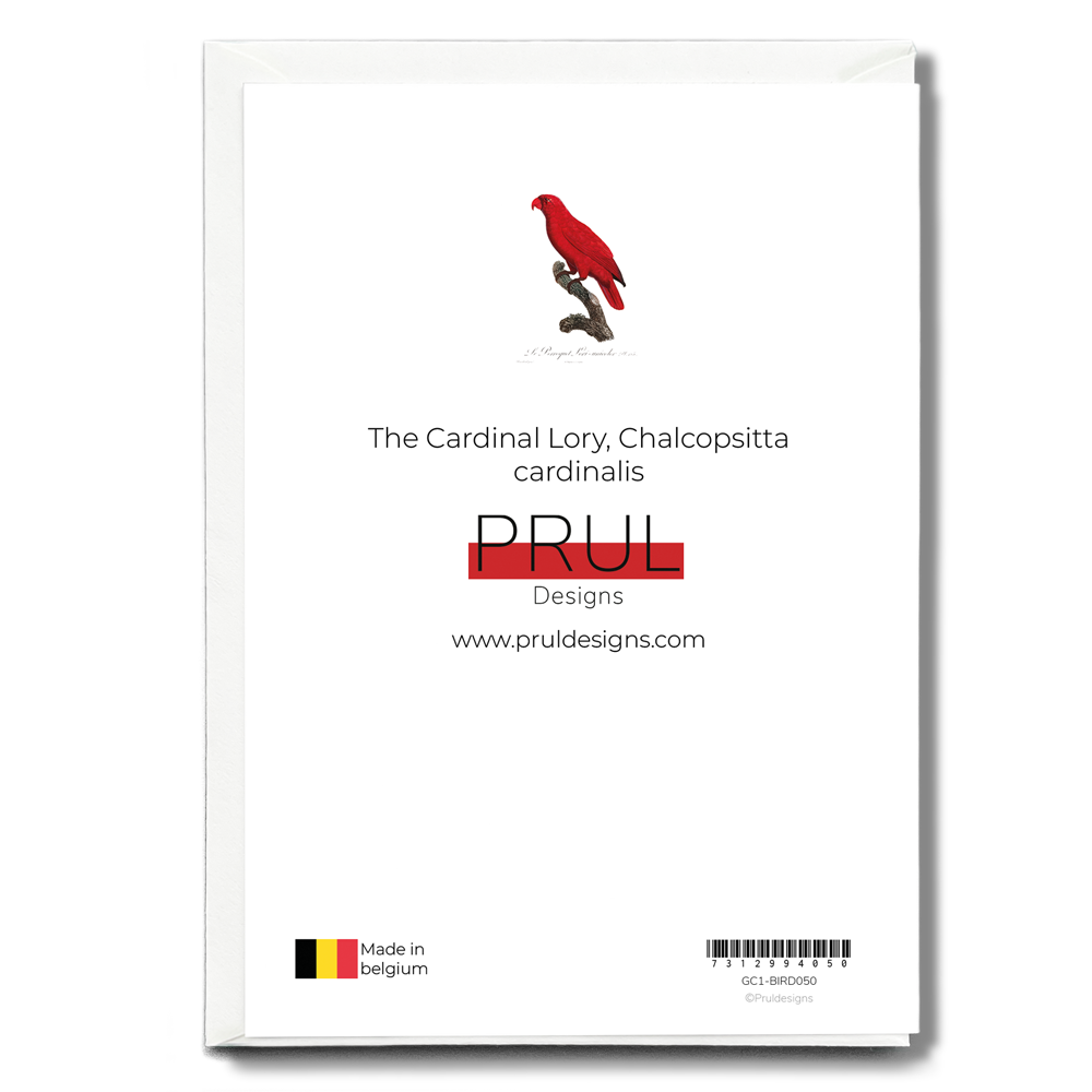 The Cardinal Lory, Chalcopsitta cardinalis - Wenskaart