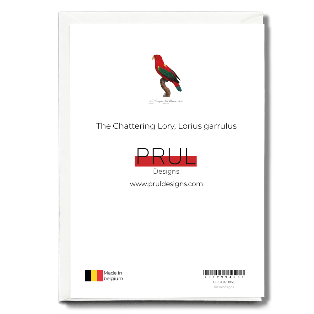The Chattering Lory, Lorius garrulus - Wenskaart