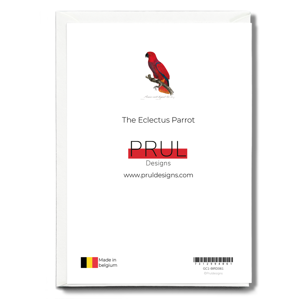 The Eclectus Parrot - Wenskaart