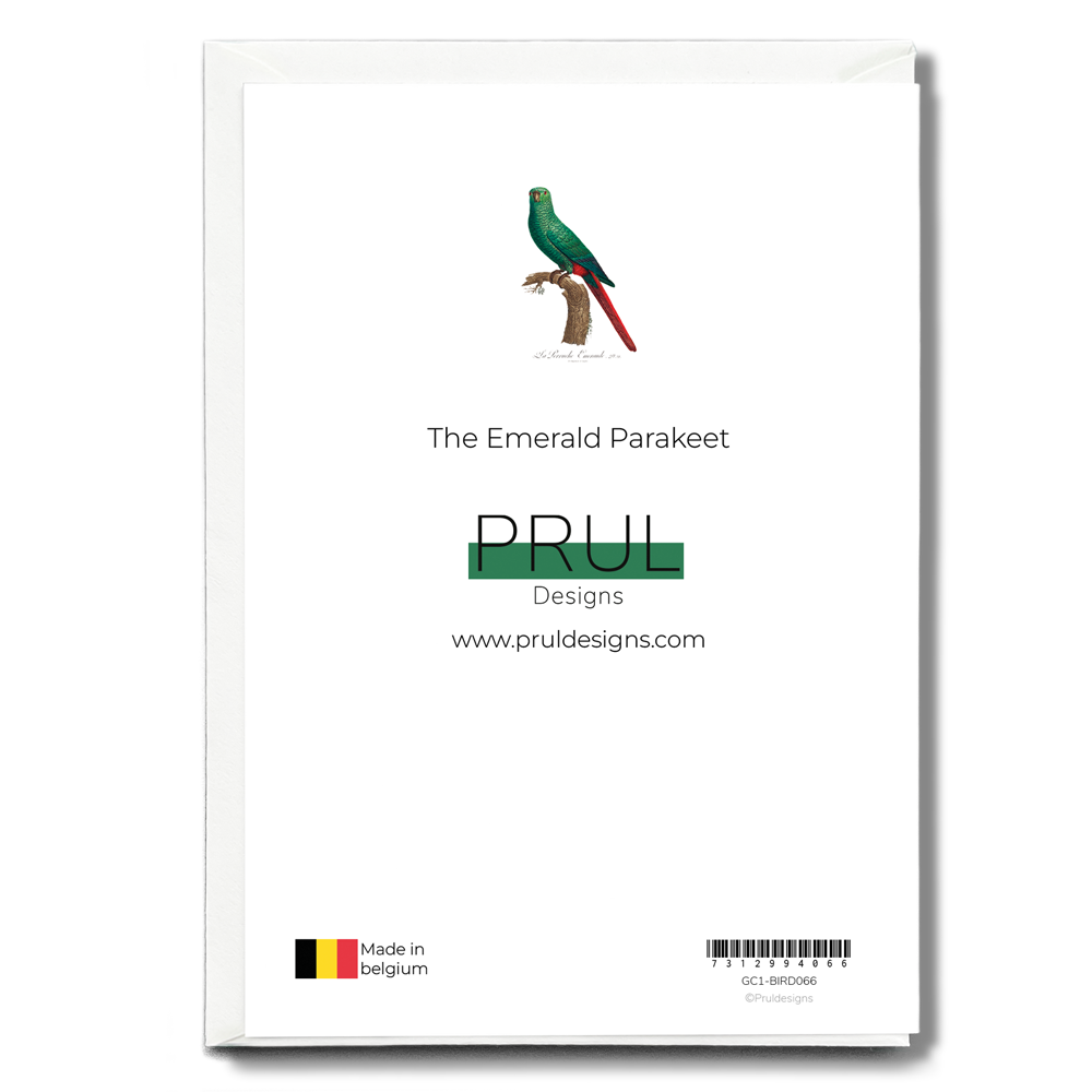The Emerald Parakeet - Wenskaart