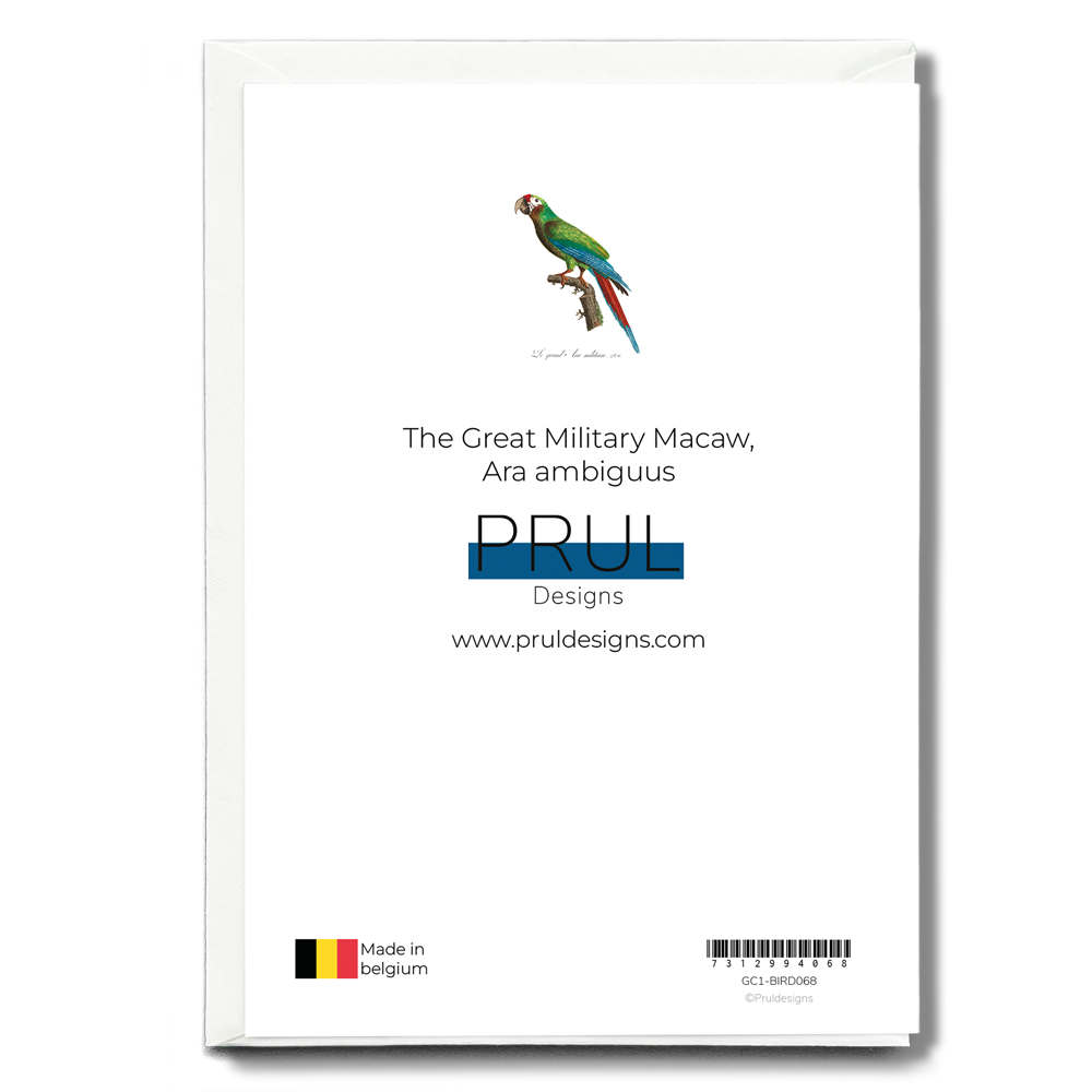 The Great Military Macaw, Ara ambiguus - Wenskaart