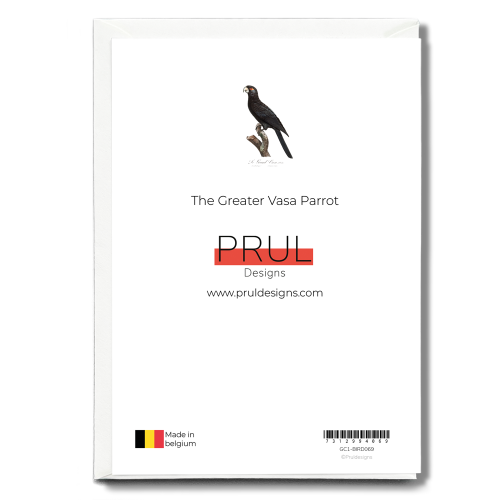 The Greater Vasa Parrot - Wenskaart