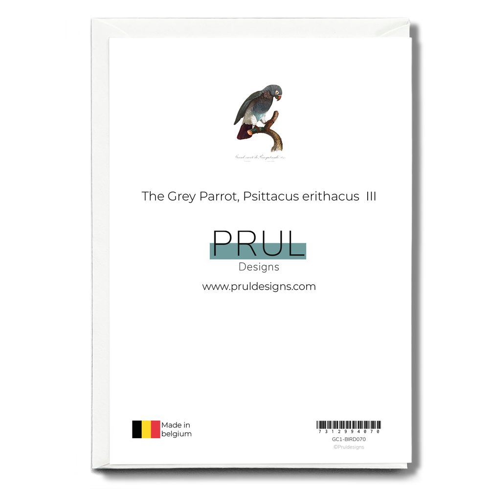 The Grey Parrot, Psittacus erithacus III - Wenskaart
